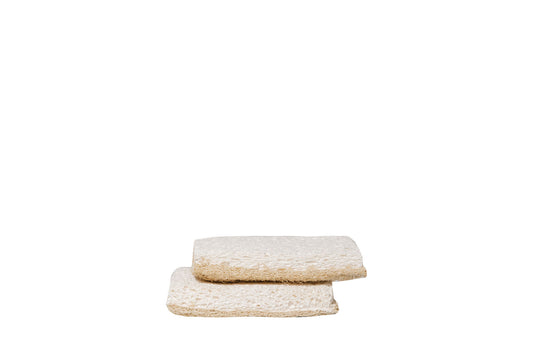 Plantish | Eco-Sponge